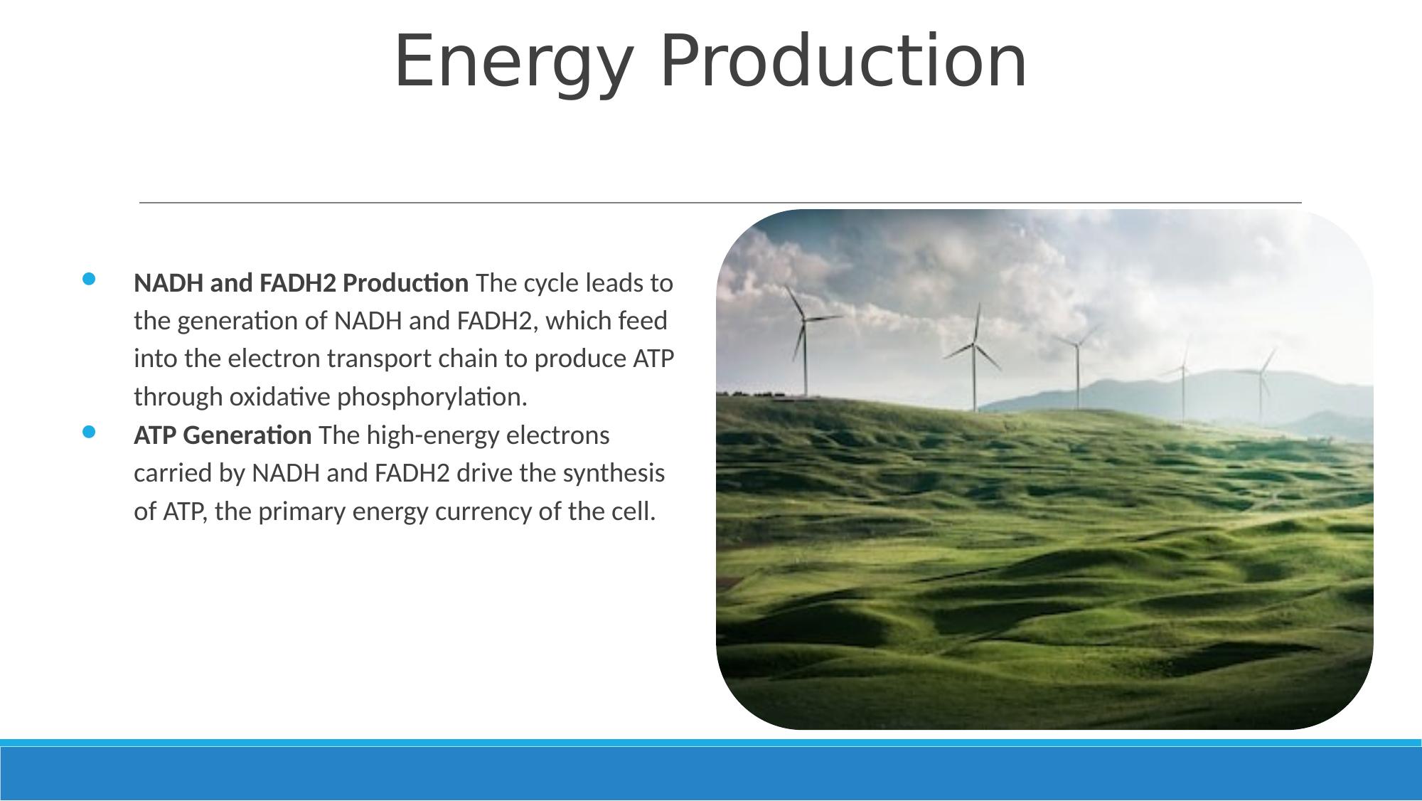Slide 5
