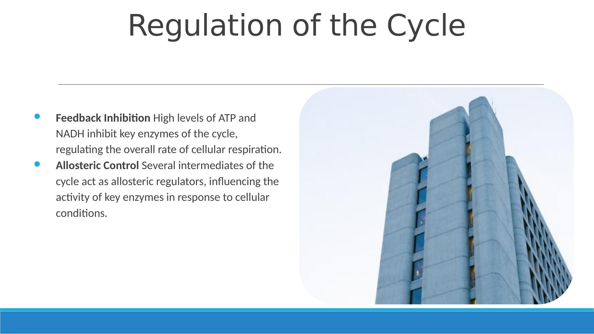 Slide 6