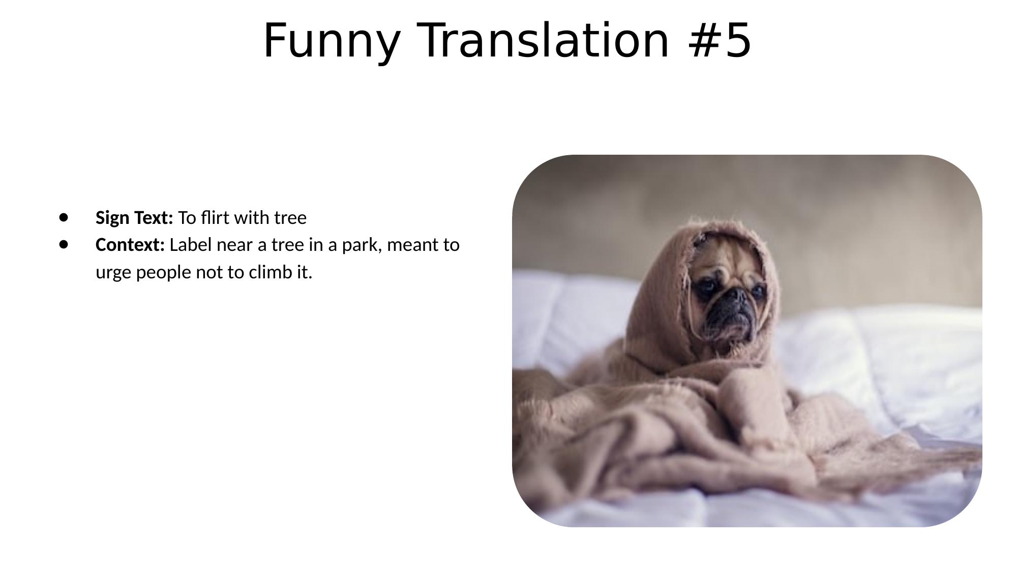 Slide 7