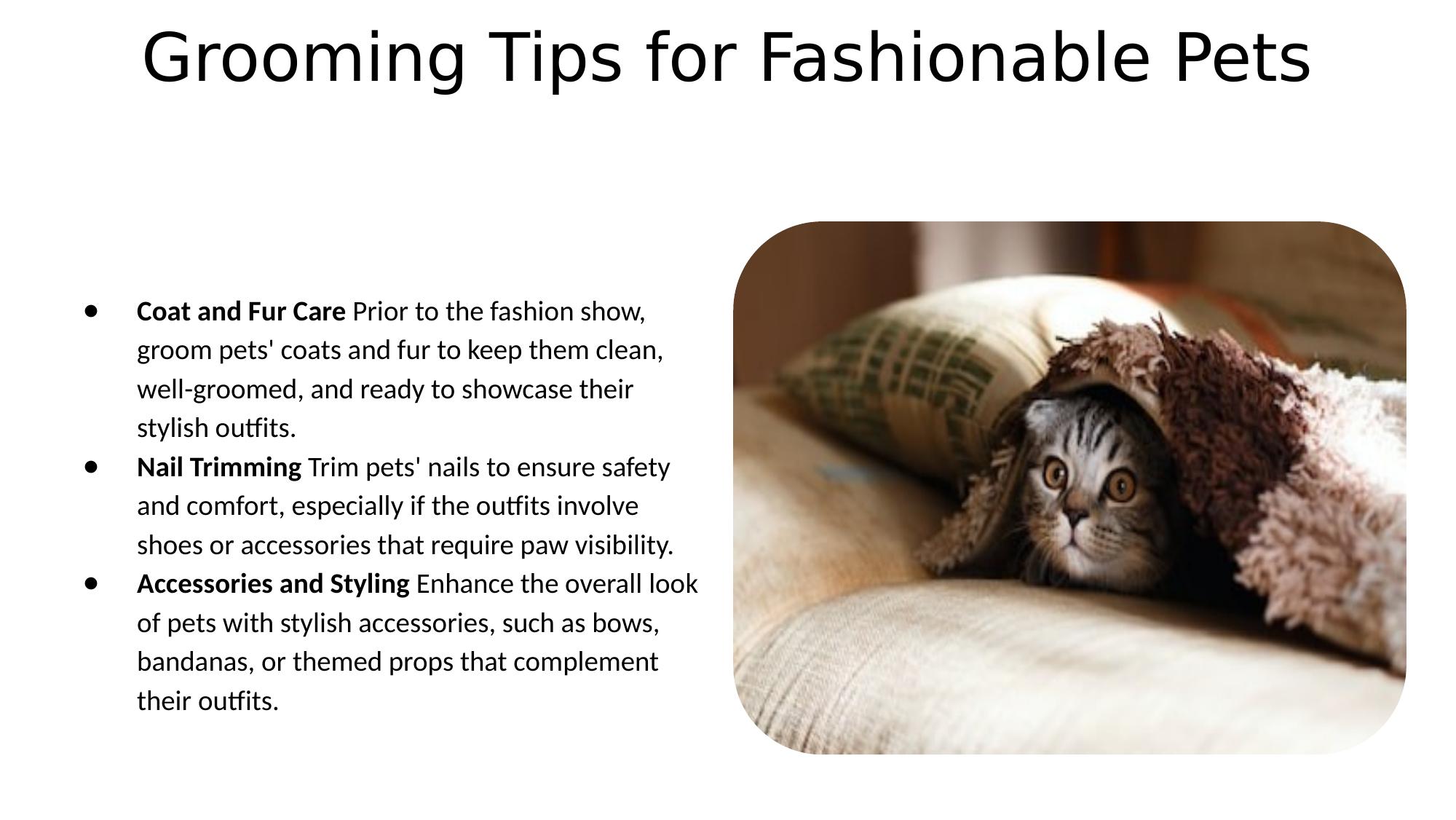 Slide 7