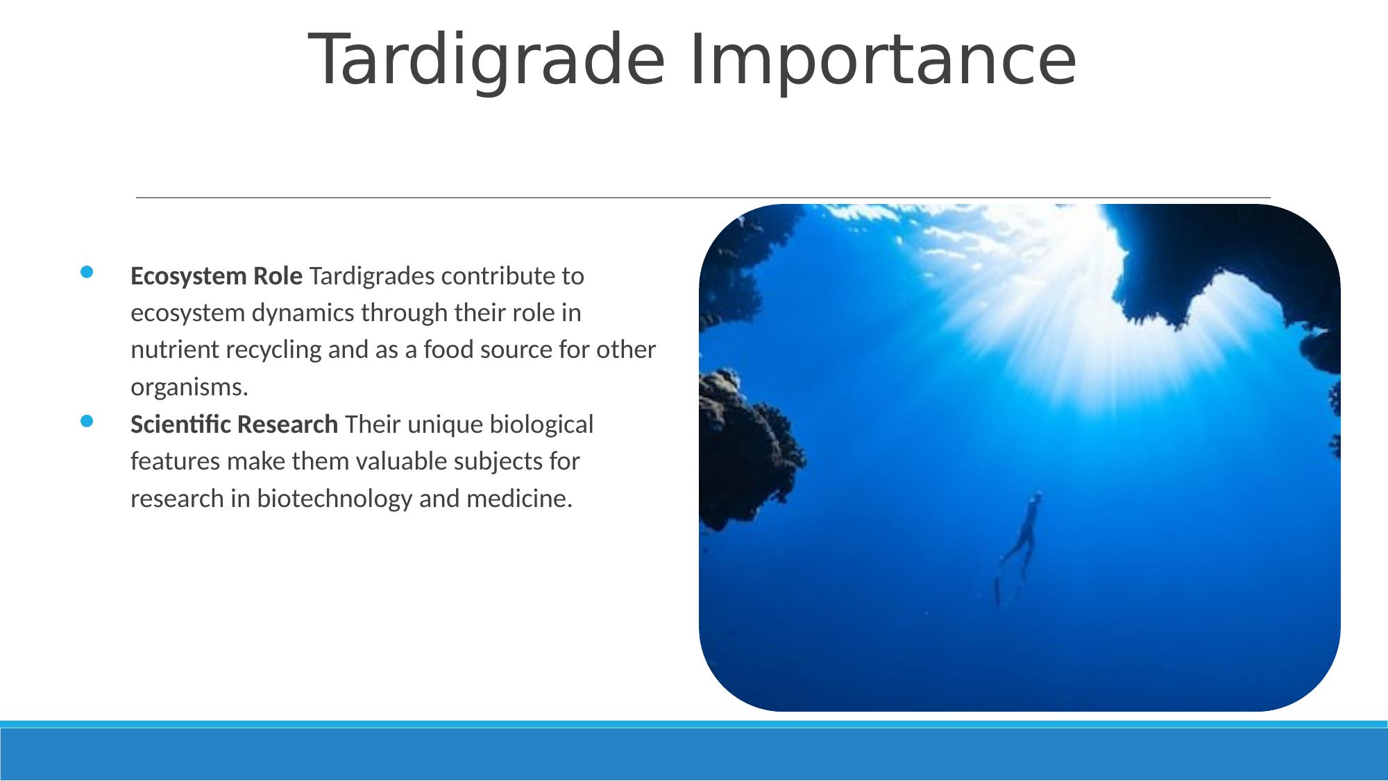 Slide 7