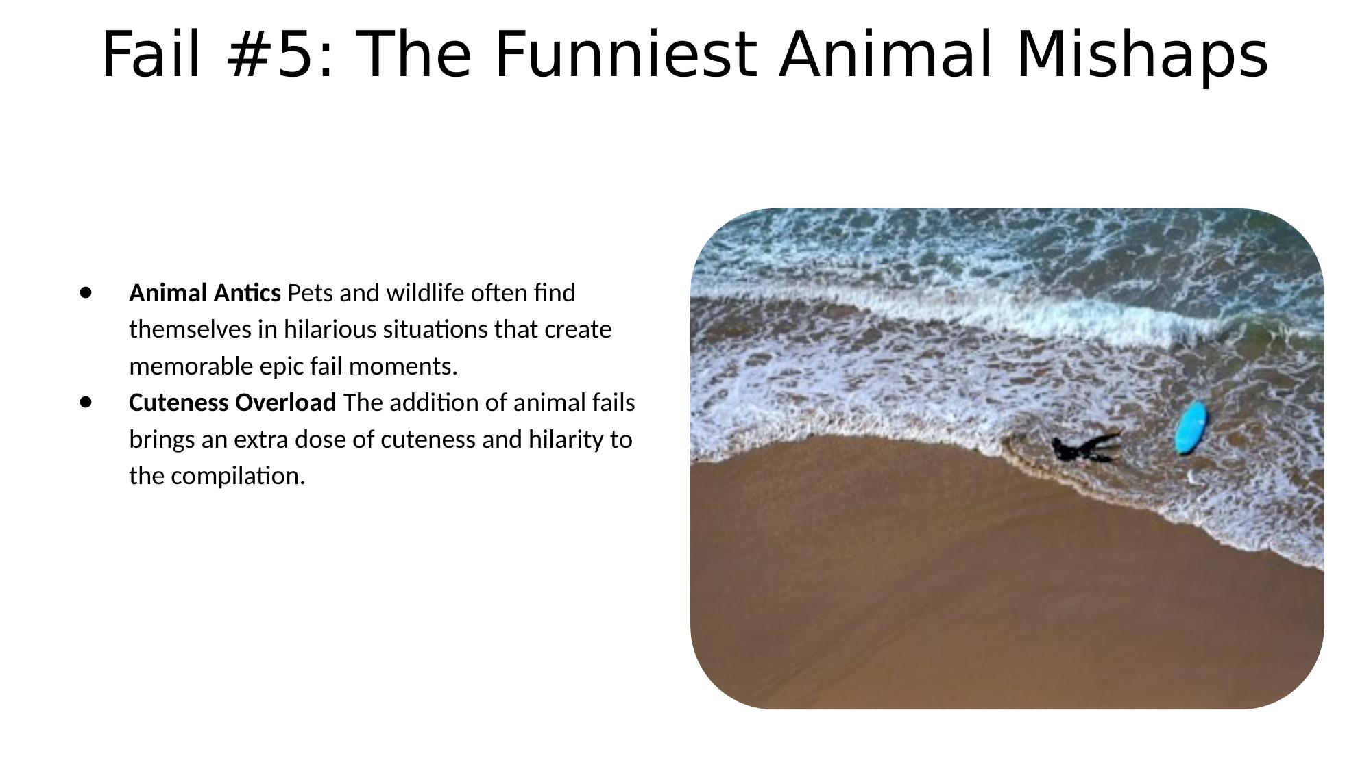 Slide 8