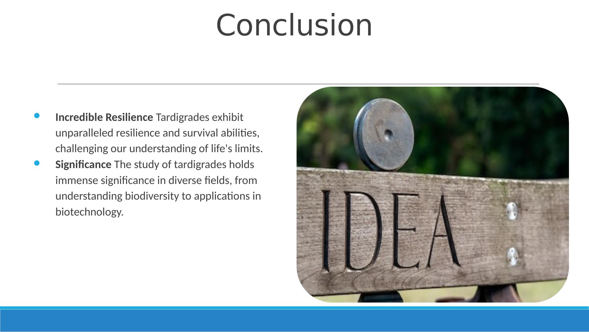 Slide 9